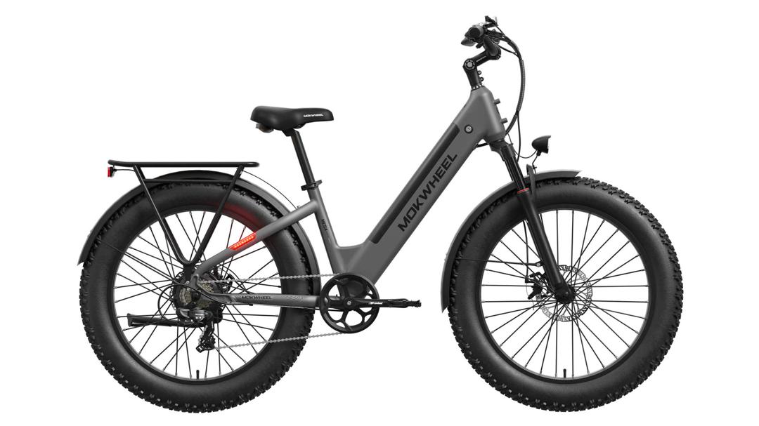 Mokwheel e-bike