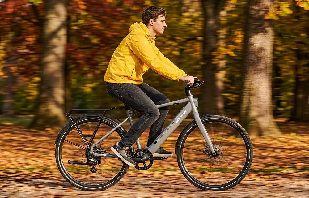 Mokwheel e-bike