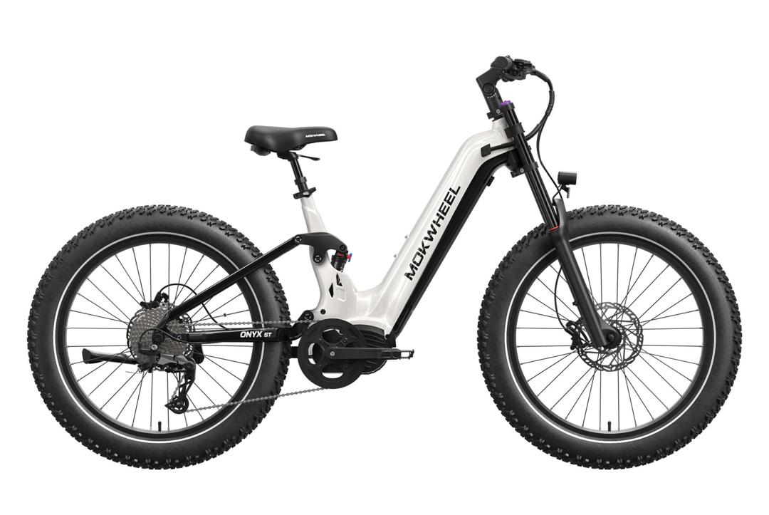 Mokwheel e-bike