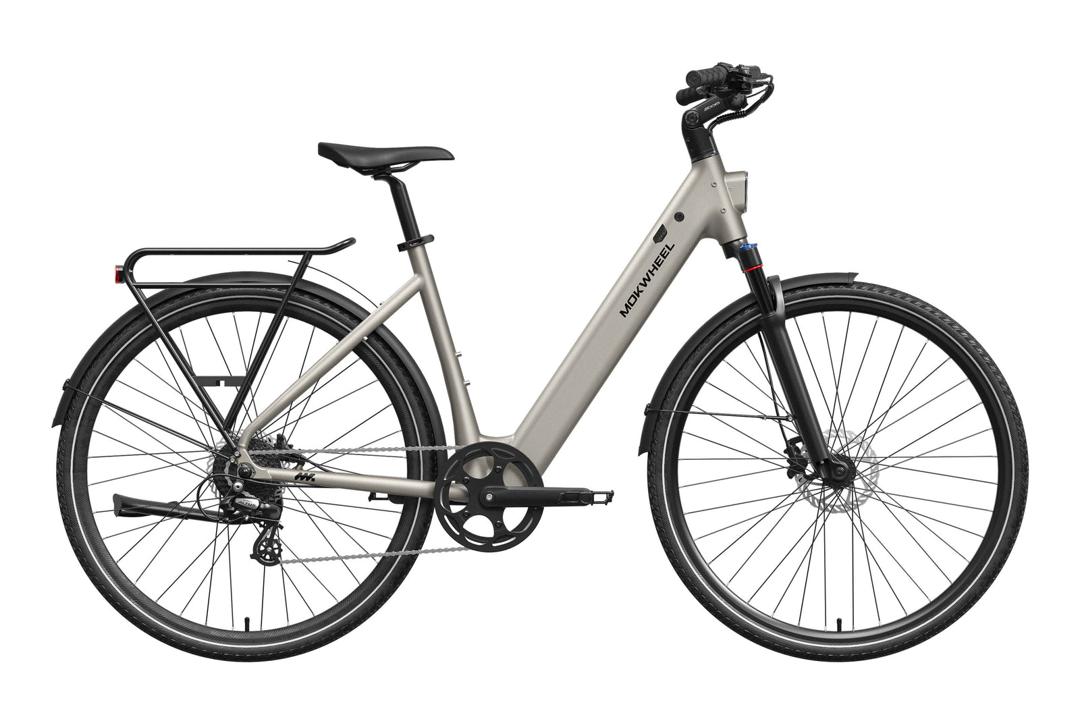 Mokwheel e-bike
