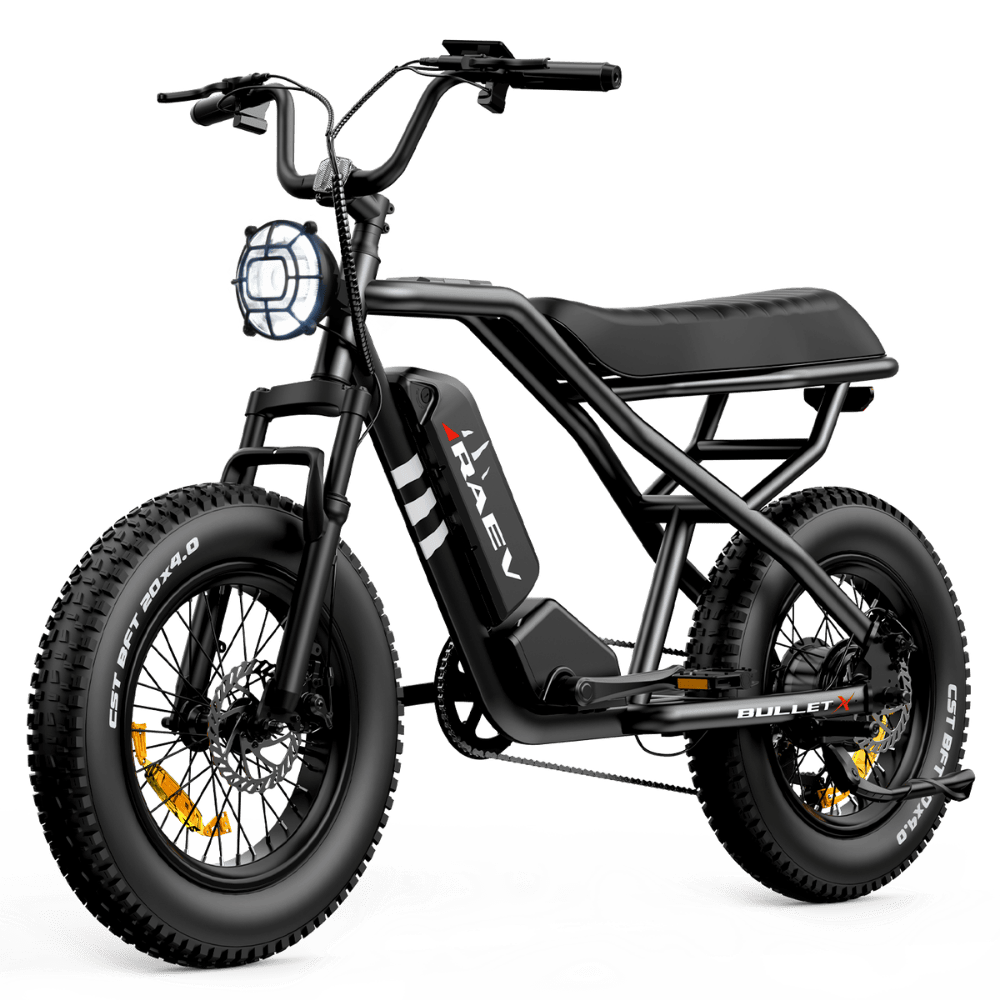 RAEV e-bike