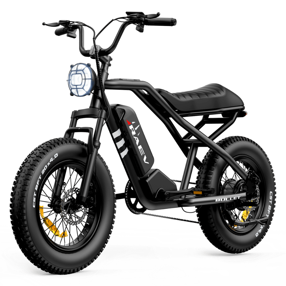 RAEV e-bike