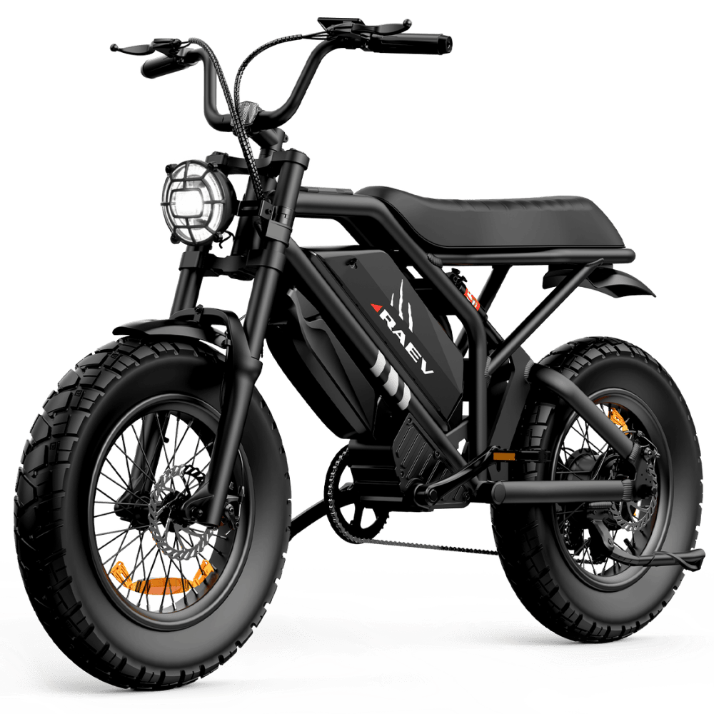 RAEV e-bike