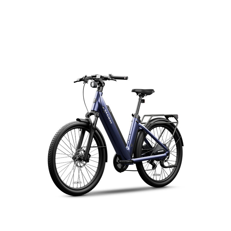 Segway e-bike