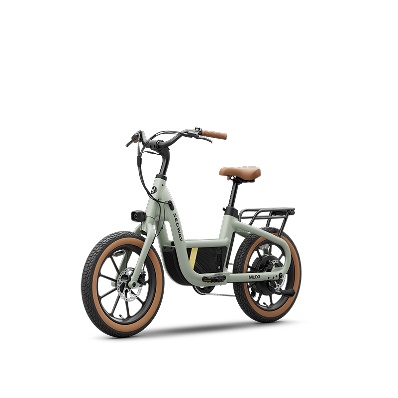 Segway e-bike